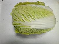 大白菜
